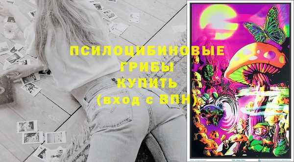 крисы Магас