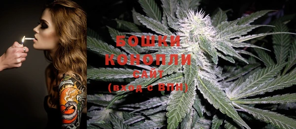 крисы Магас