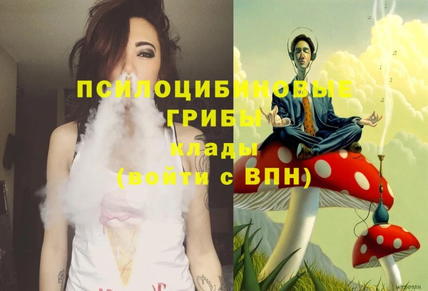 прущие крисы Куйбышев
