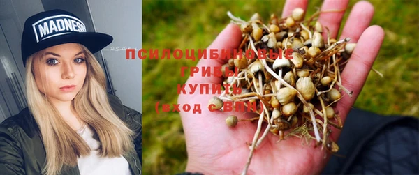 2c-b Лиски
