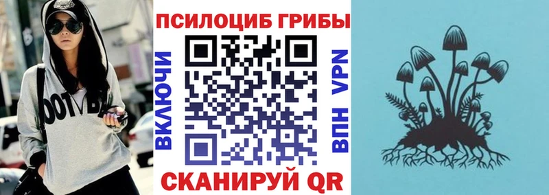Галлюциногенные грибы мухоморы  Цоци-Юрт 